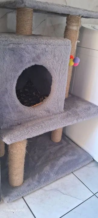 Casa de Gato em ótimo estado