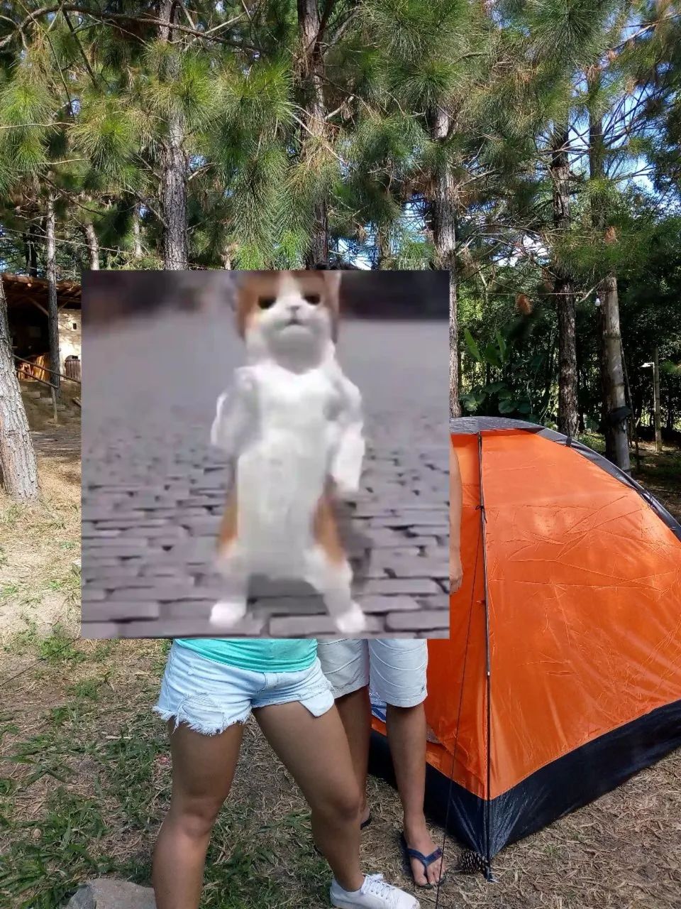 Barraca de Camping - Foto 6