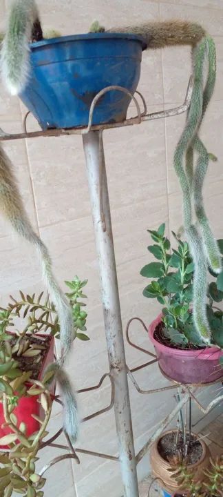 Estou vendendo vários vasos e suporte plantas  - Foto 2