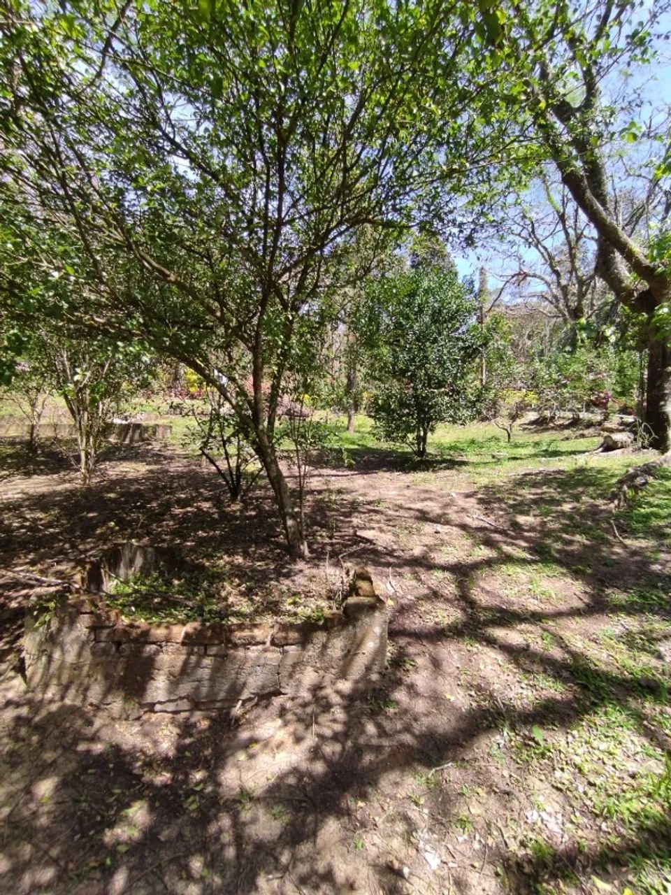 Vendo este ótimo Sítio em Mendes - Foto 3