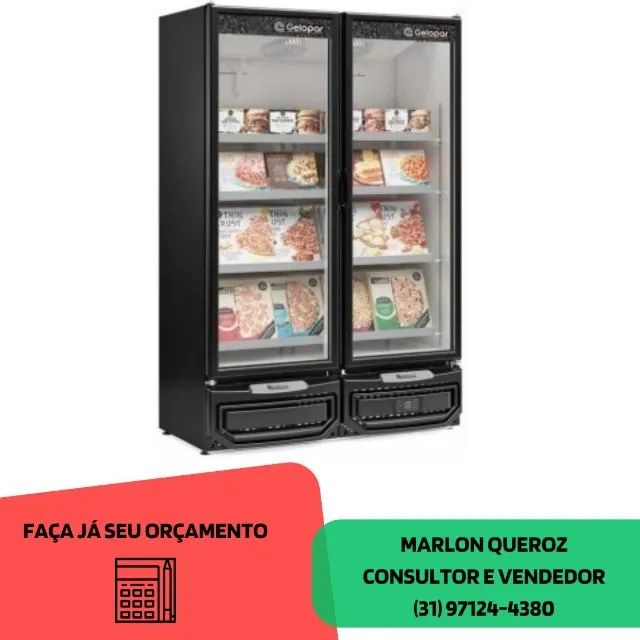 Freezer 2 Portas Gelopar 127-220v