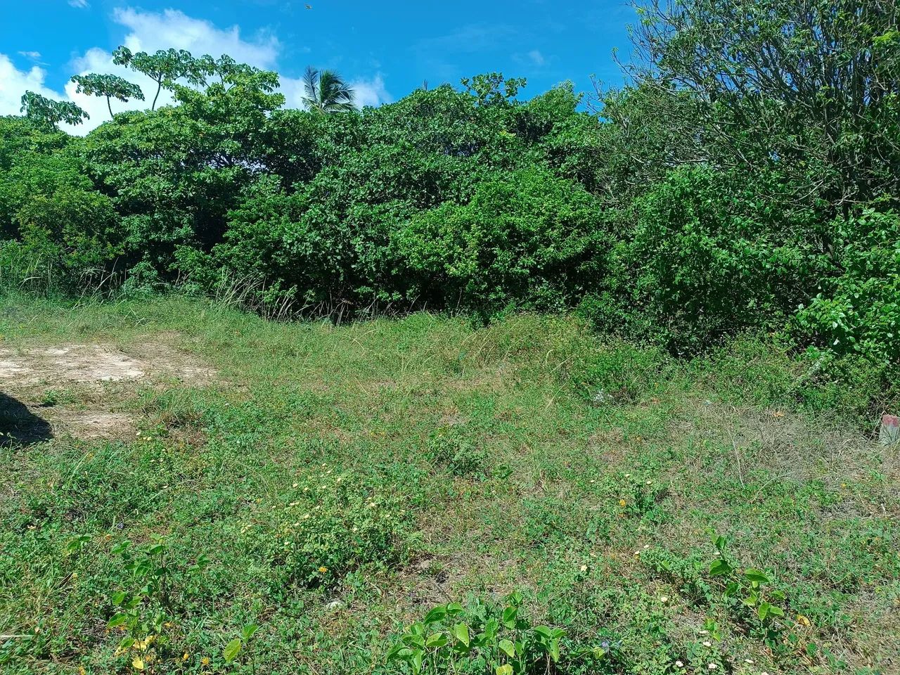 Terreno 6×14  - Foto 2