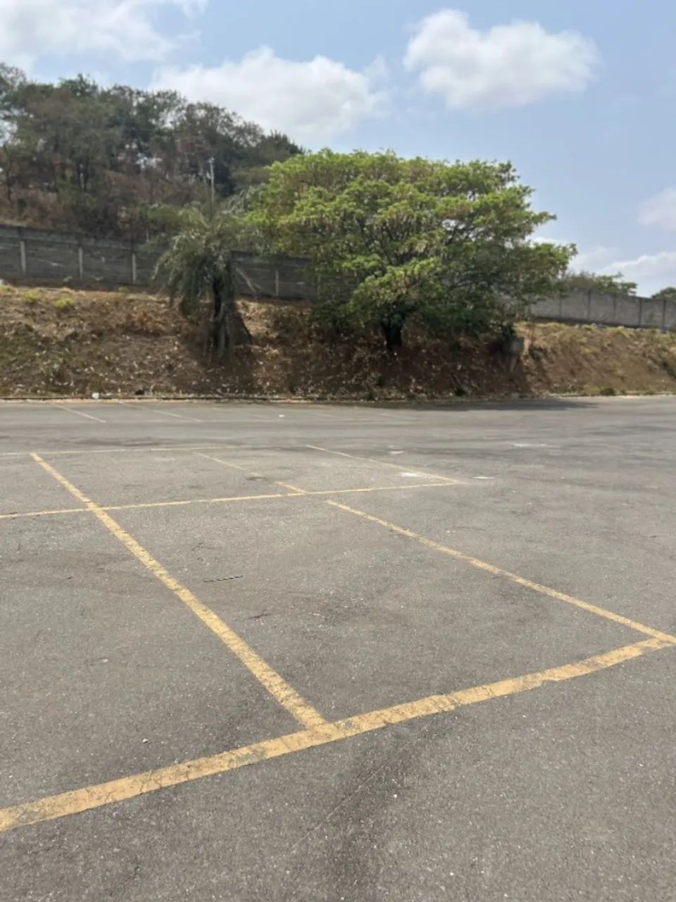 Terreno p/alugar, 11.000m² enfrente Arena do Galo - Foto 4