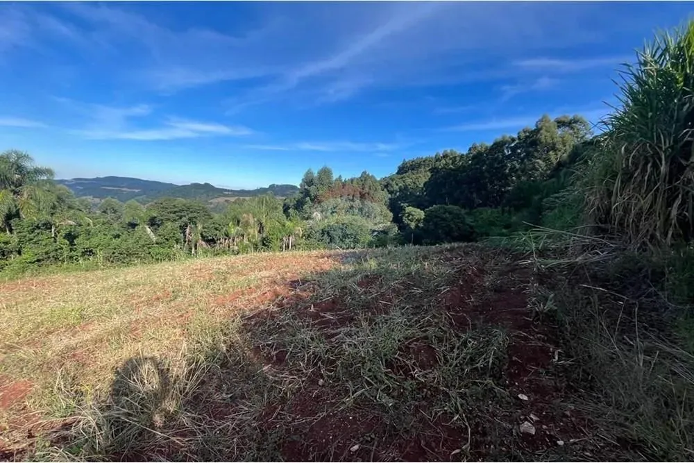 Área com3.6 hectares- Entrada linha Hamburgo