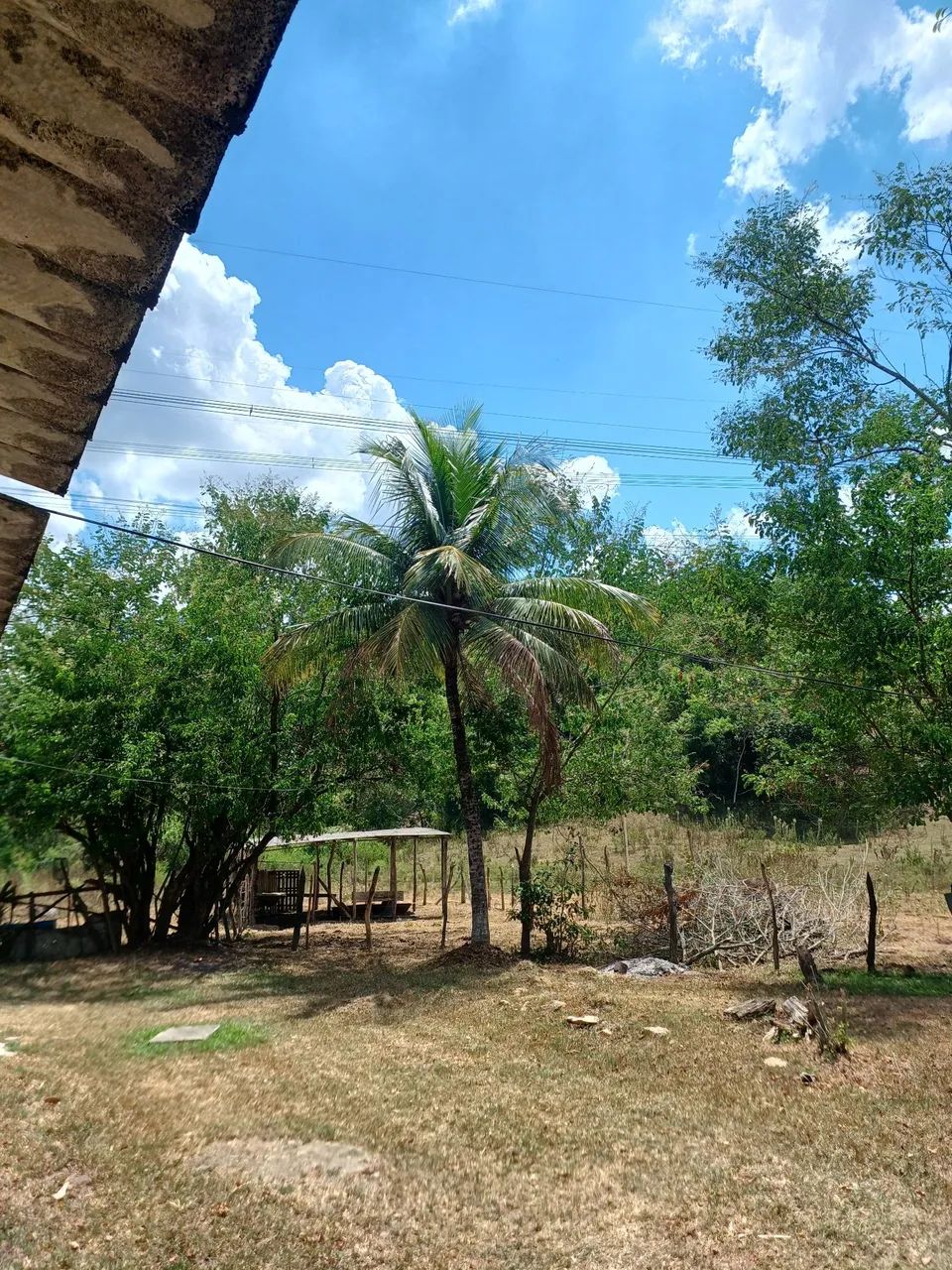 Venda de sítio  - Foto 3