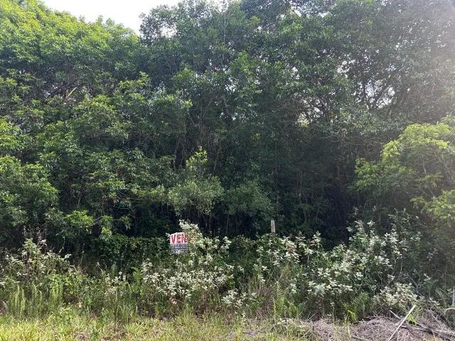 Terreno de 612 m² em Pedrinhas(Ilha Comprida) - Foto 4