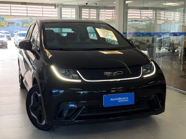 BYD Dolphin 2024