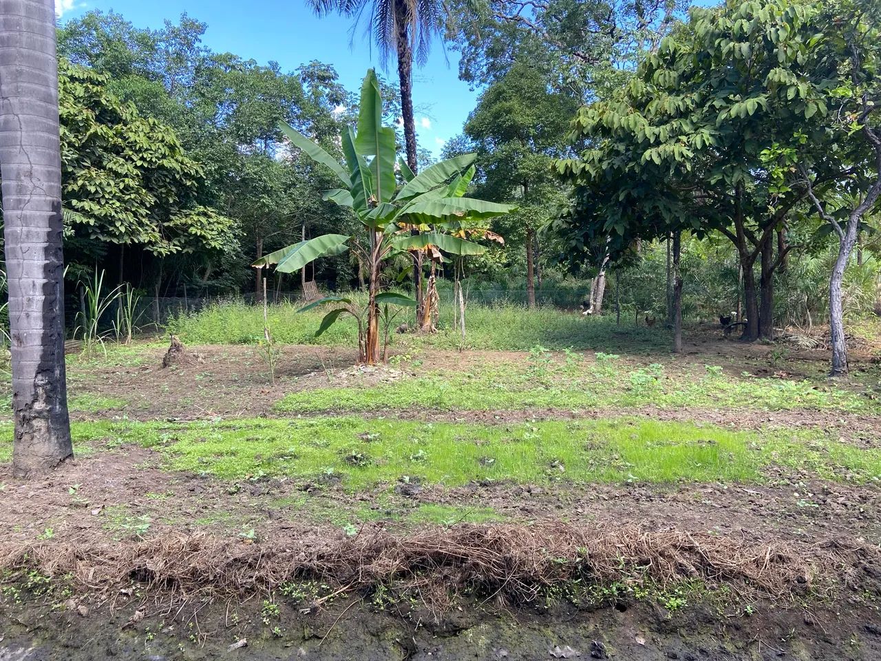 Chácara de 2.000m² com Casa 3 Quartos e Piscina - KM 12 saída para Aparecida do Rio Negro
