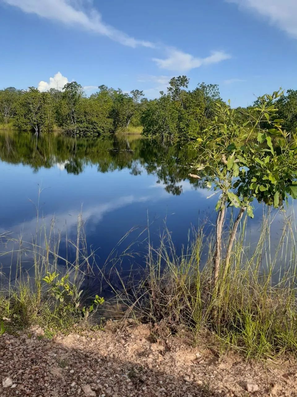 Fazenda no Tocantins  - Foto 5