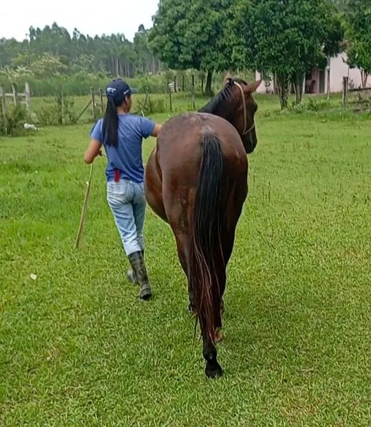 Vendo ou negocio - Foto 4