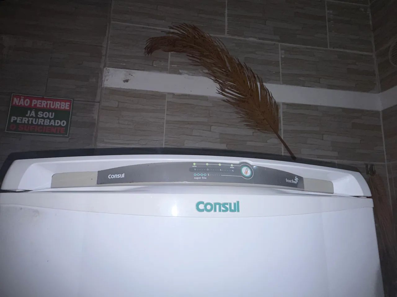 Geladeira frosfree - Foto 4