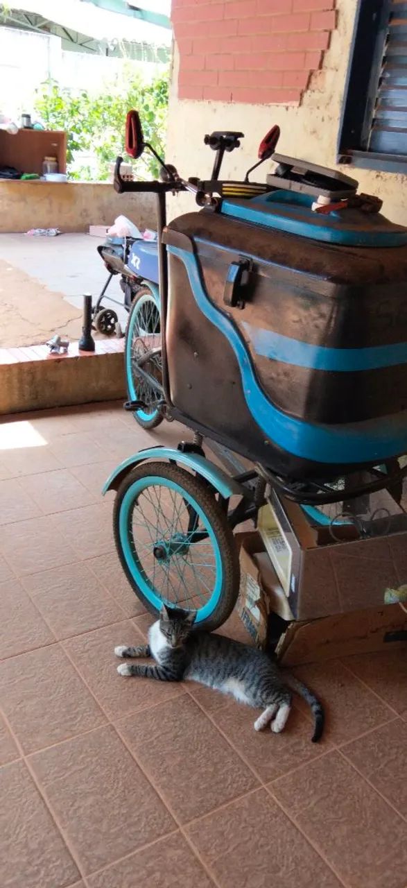 CARRINHO DE PICOLÉ TRICICLO  - Foto 4