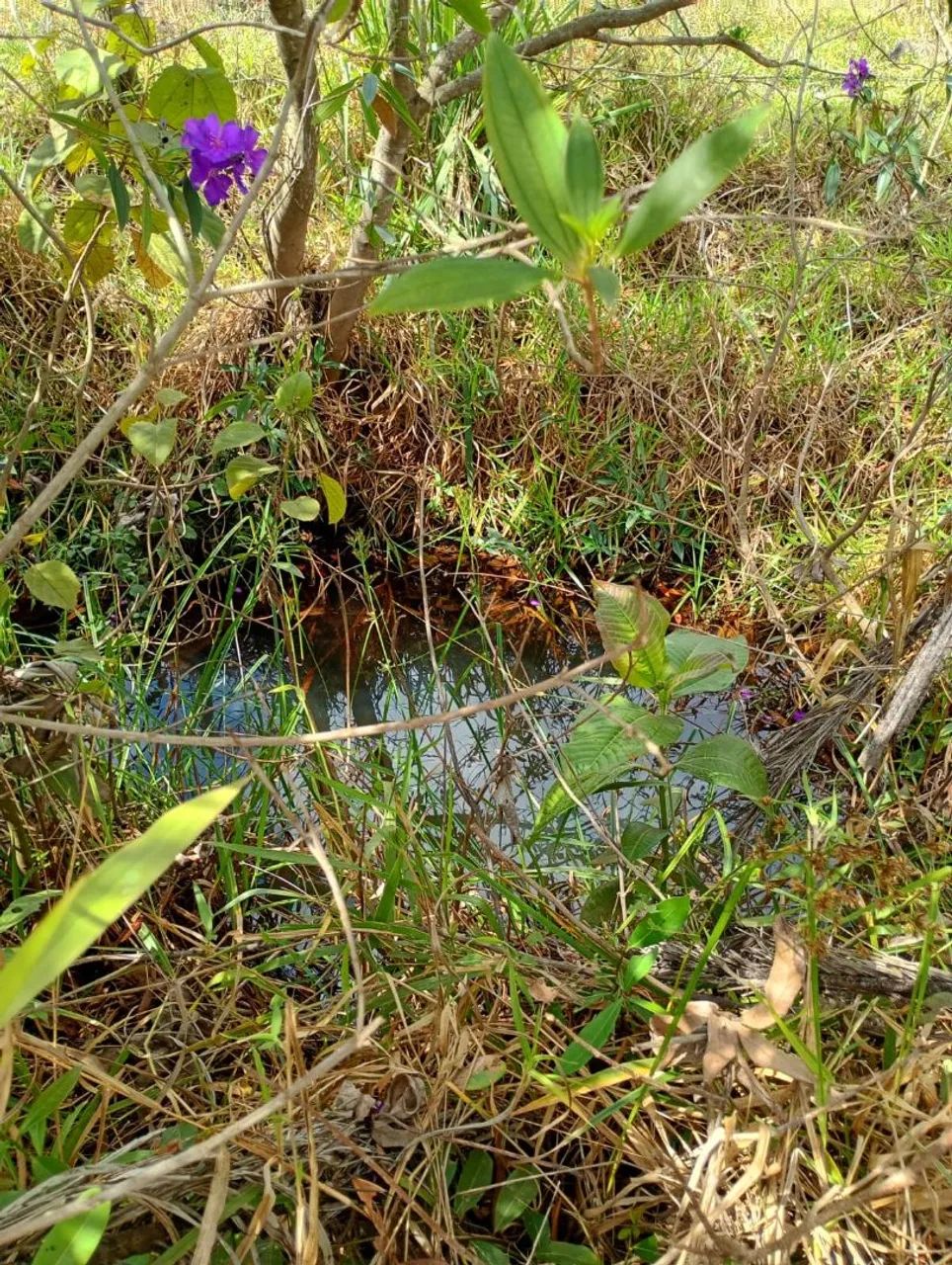 Terreno em serra azul Mateus leme  - Foto 4