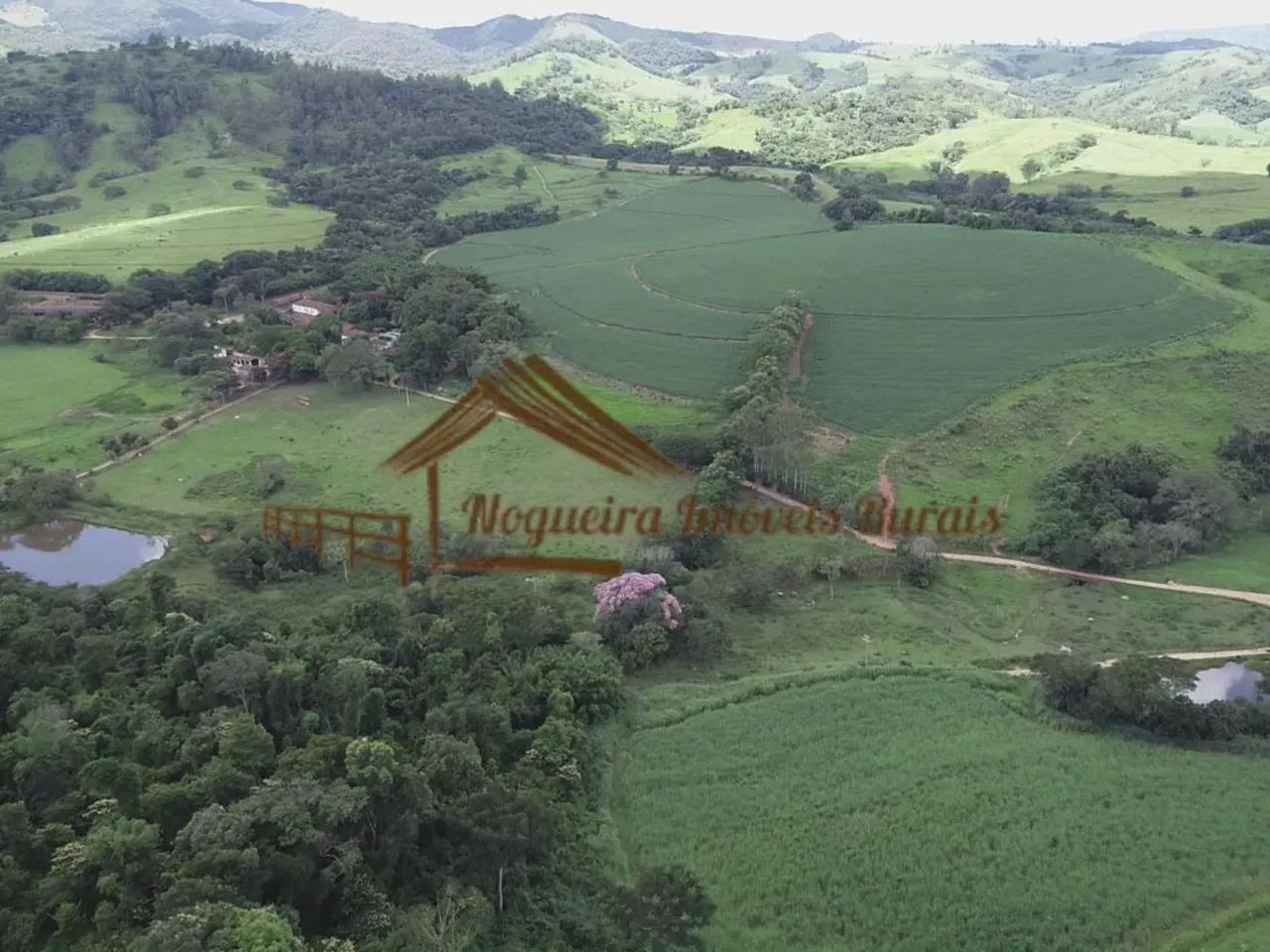Fazenda com 280 alqueires em Itapira SP - Foto 3