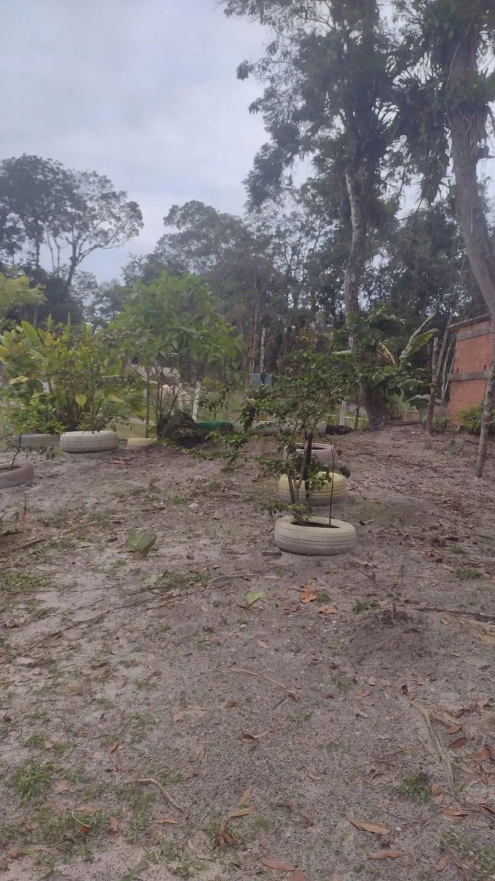 Vendo esse lote .