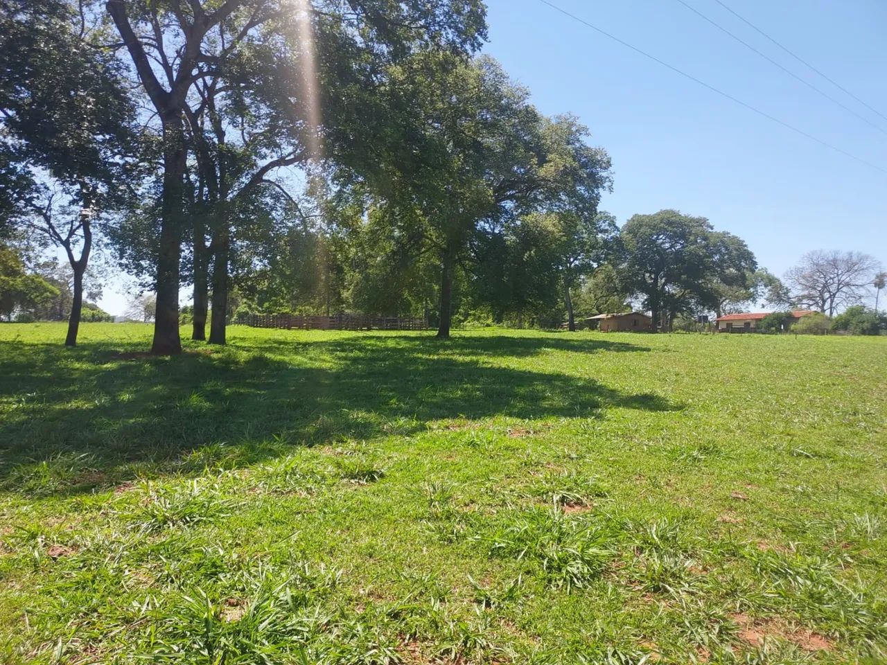 Chácara 85 hectares próxima a sidrolandia  - Foto 4