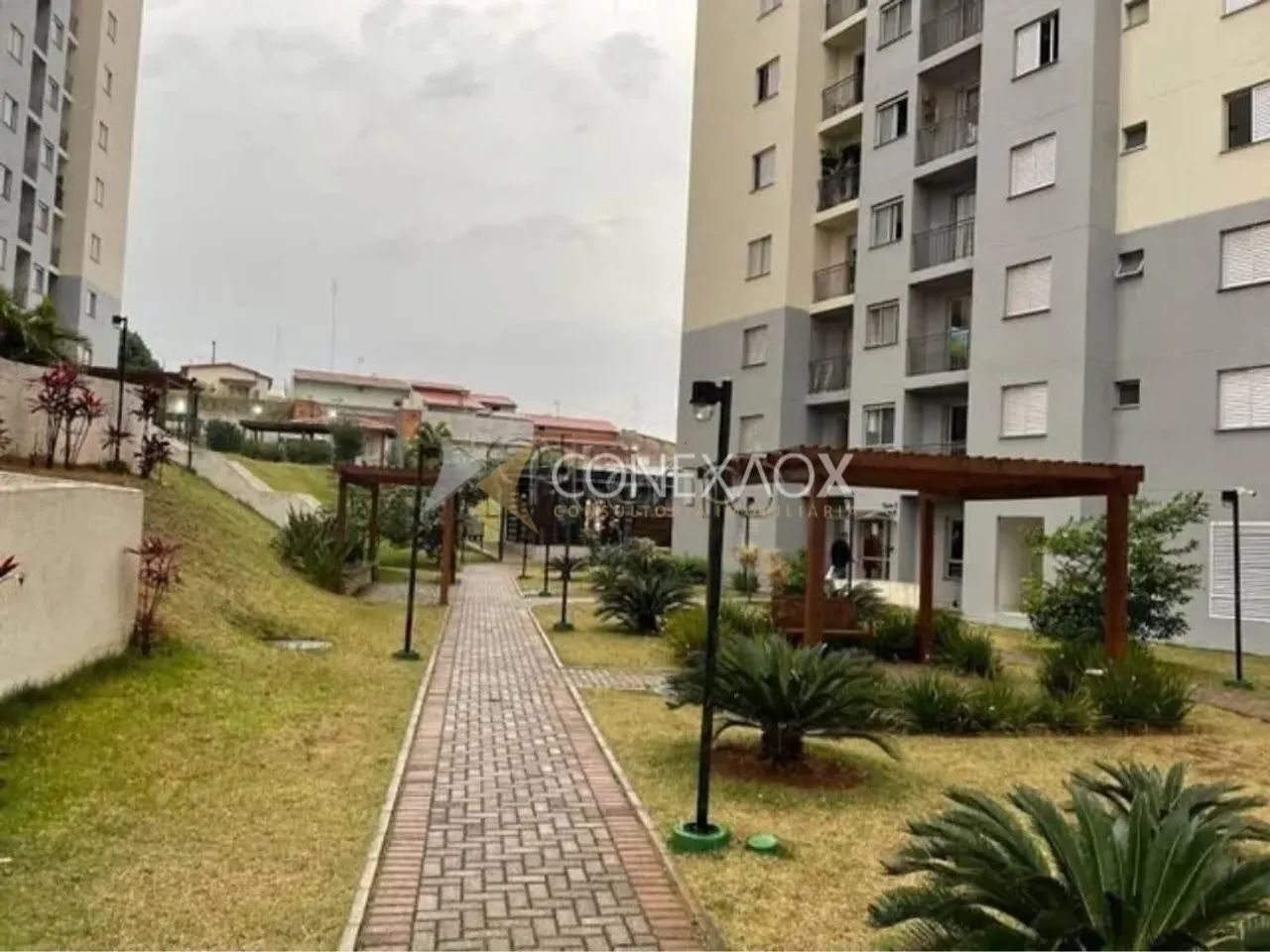 apartamento - Vila Mimosa - Campinas - Foto 2