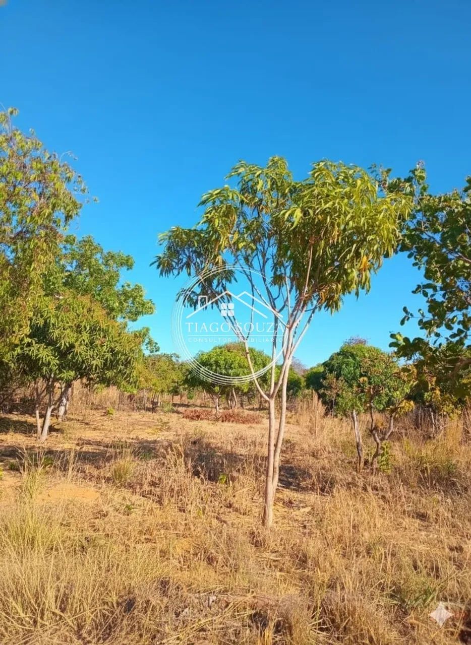 Vende-se Terreno - Região de Taquaruçu - Foto 2