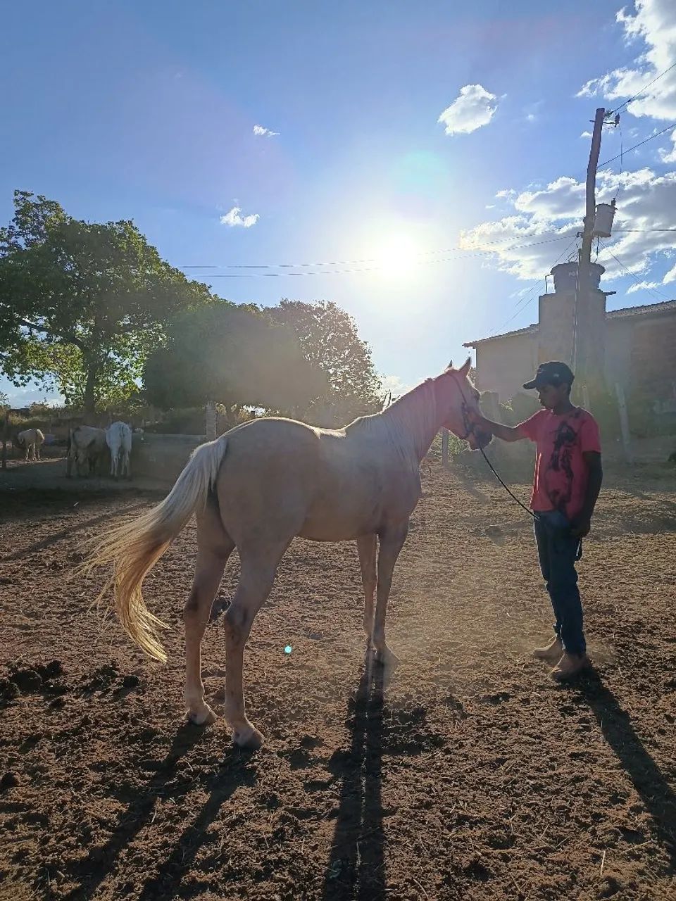 vendo  - Foto 4