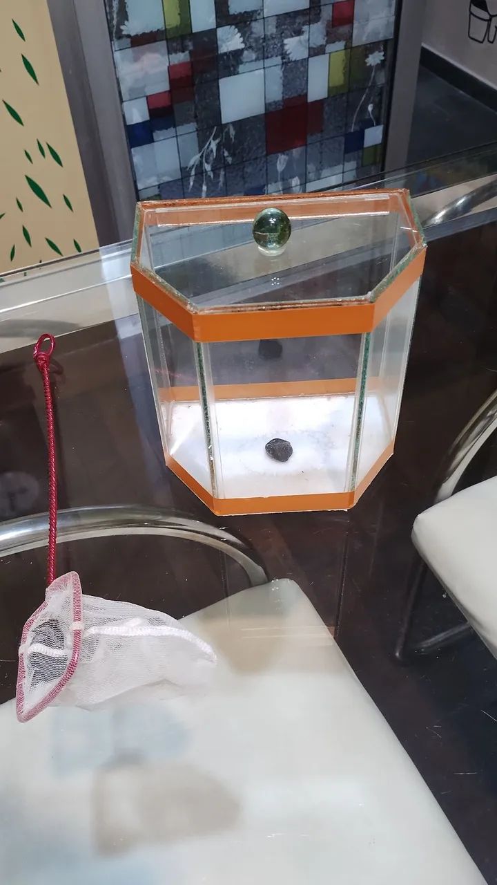 Aquário  Beteira de Vidro com tanpa