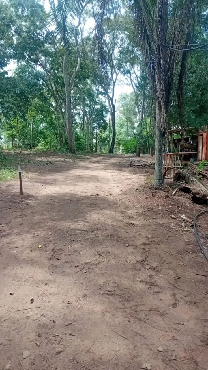 Terreno na beira do Rio Miranda  - Foto 3
