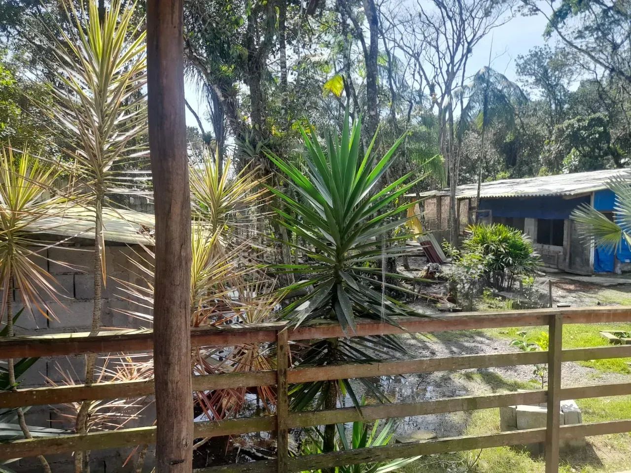 Chácara no Jd. Gaivota, em Itanhaém - Foto 4
