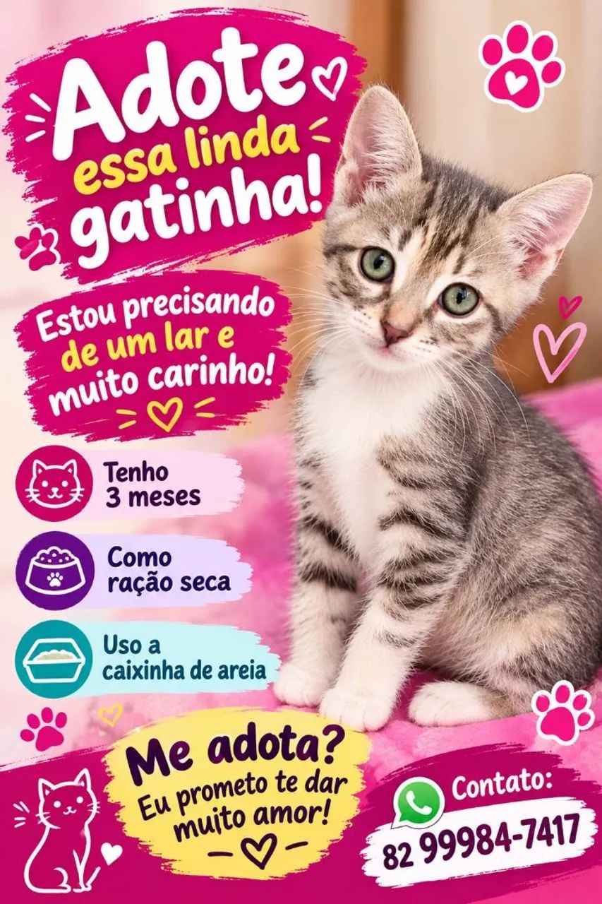 Linda gatinha 