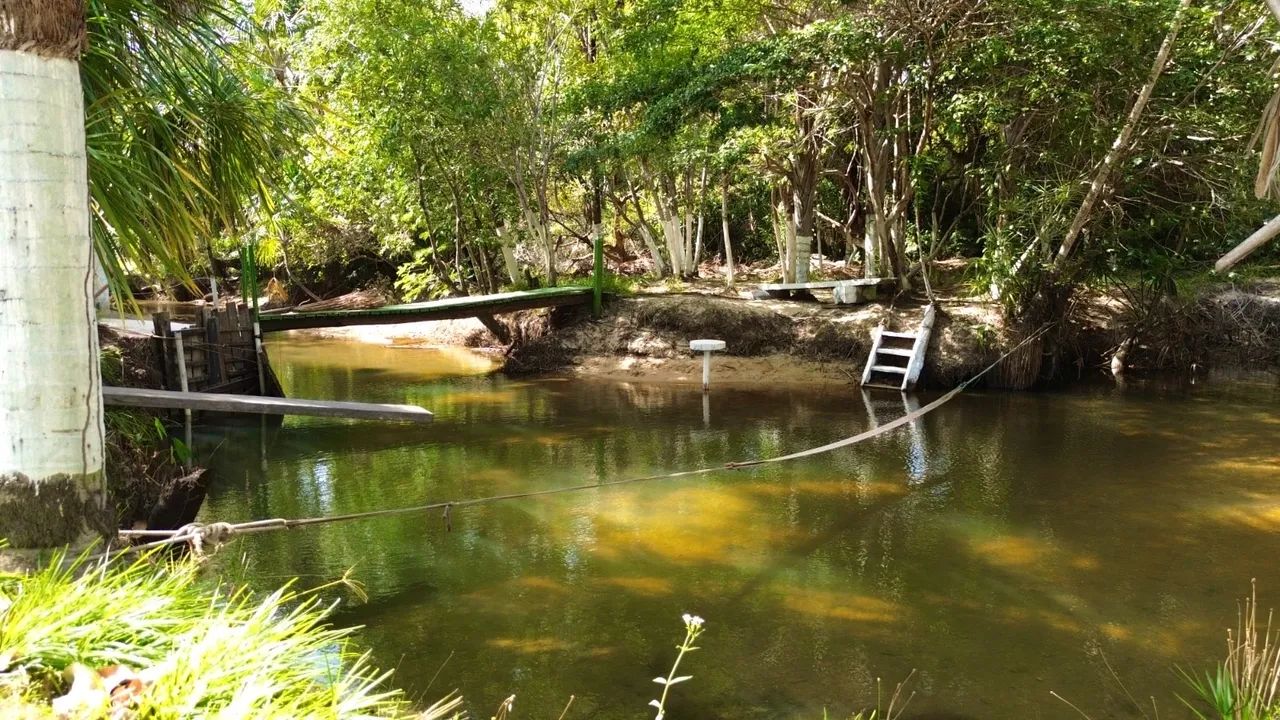 Vende-se Sitio as margens da Br.174 sentido Pacaraima banho do Murupu. - Foto 4