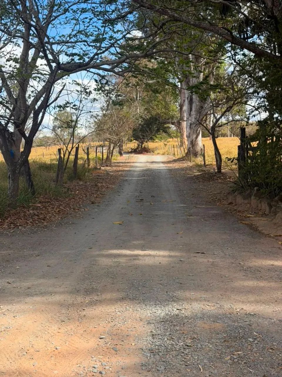 Terreno módulo rural em esmeralda  - Foto 4