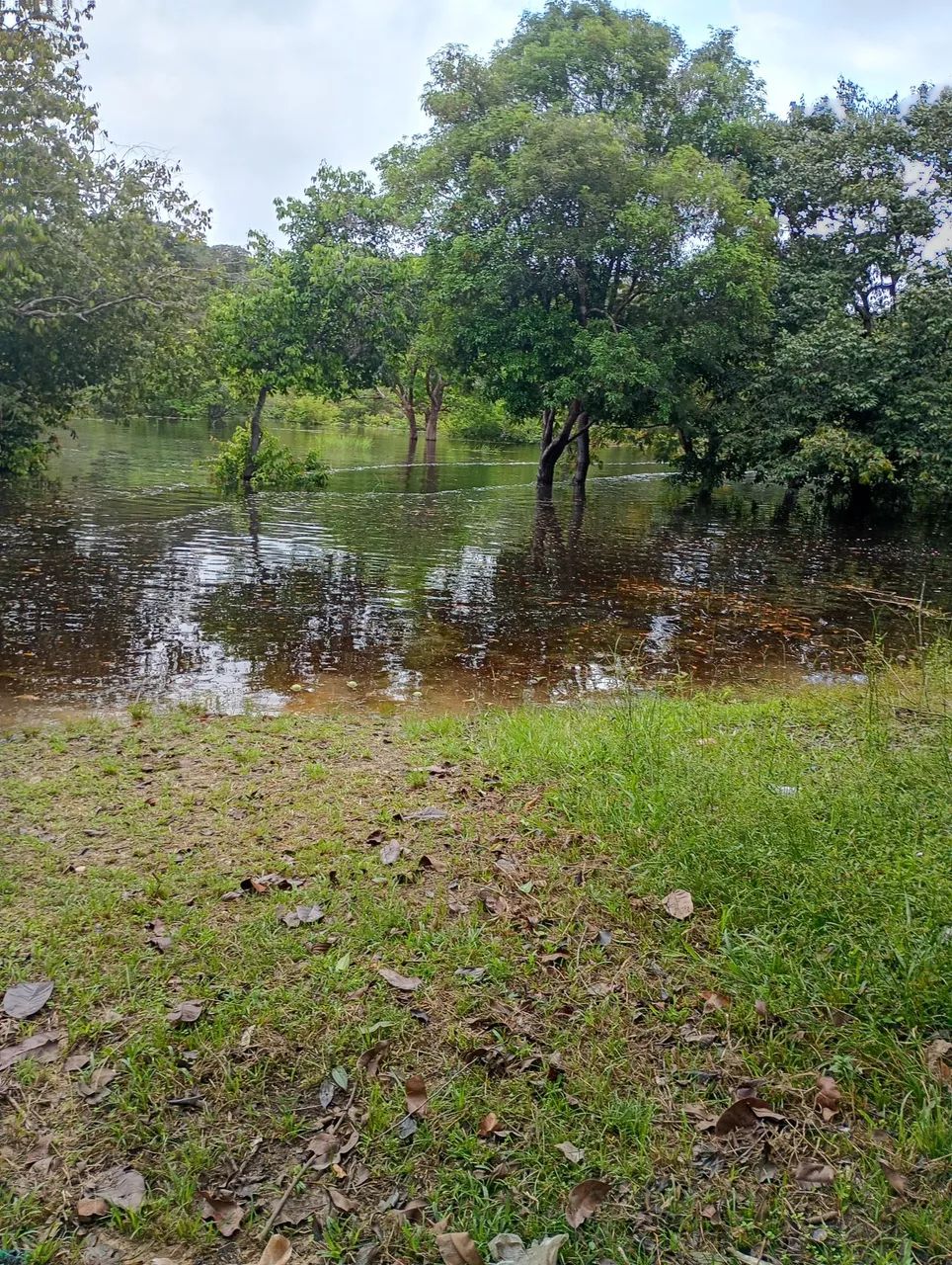 Casa em sitio