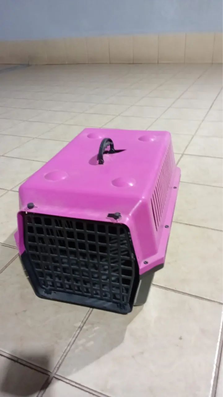 Cauxa de transporte pet para cães e gatos