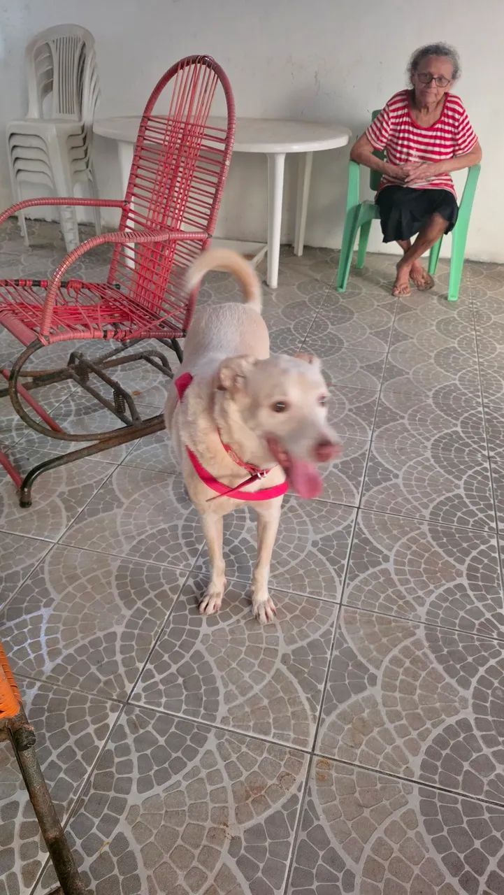 Léo  