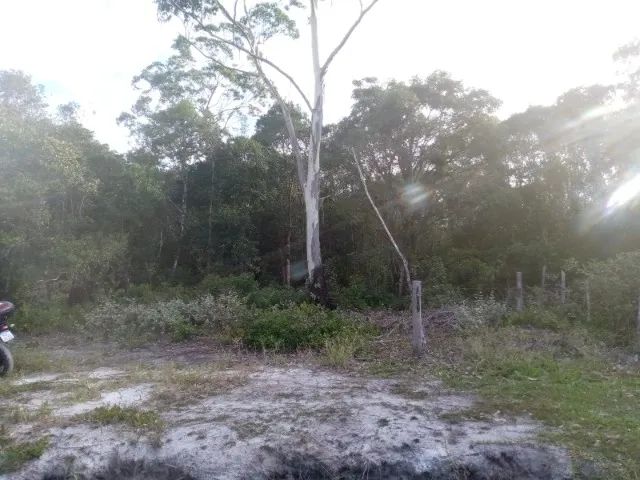 Área Rural - Foto 5