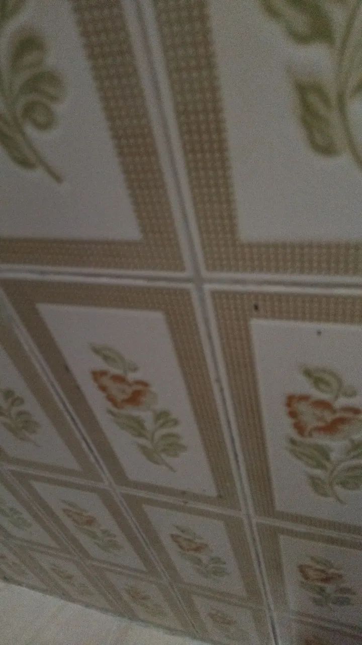 Serviços de limpeza faxinas em geral 