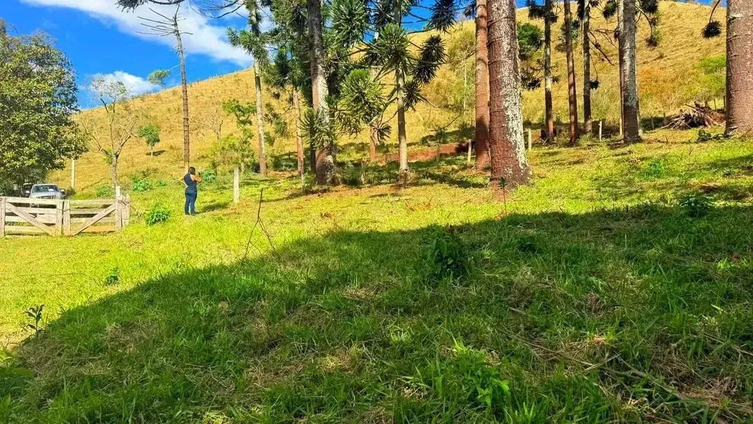 Bosque das Araucárias - Foto 4