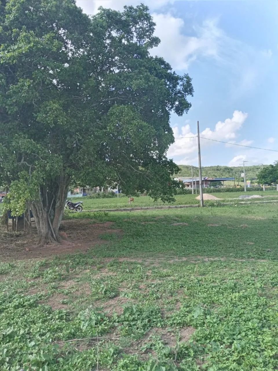 Terreno 