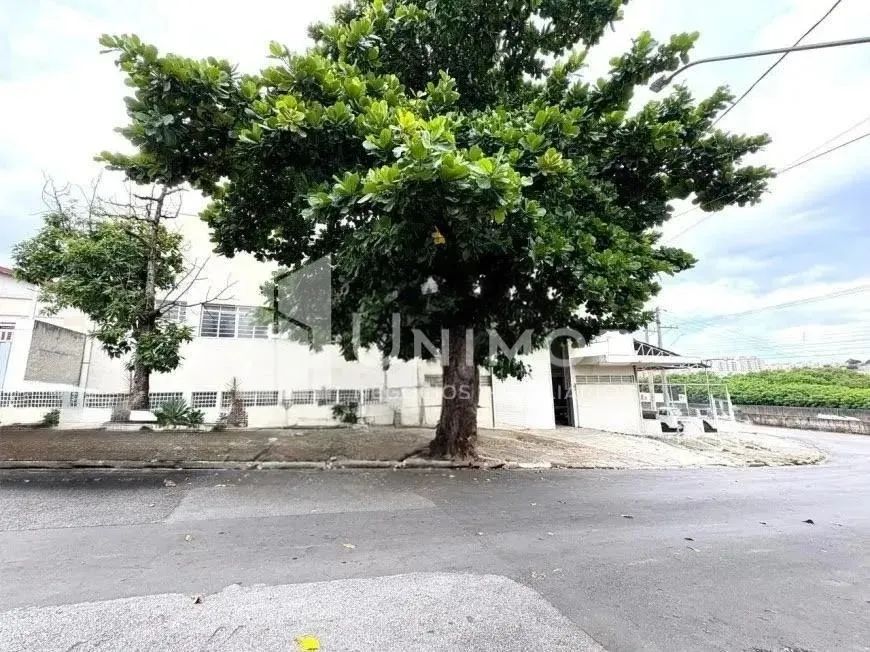 galpão - Jardim Aurélia - Campinas - Foto 3