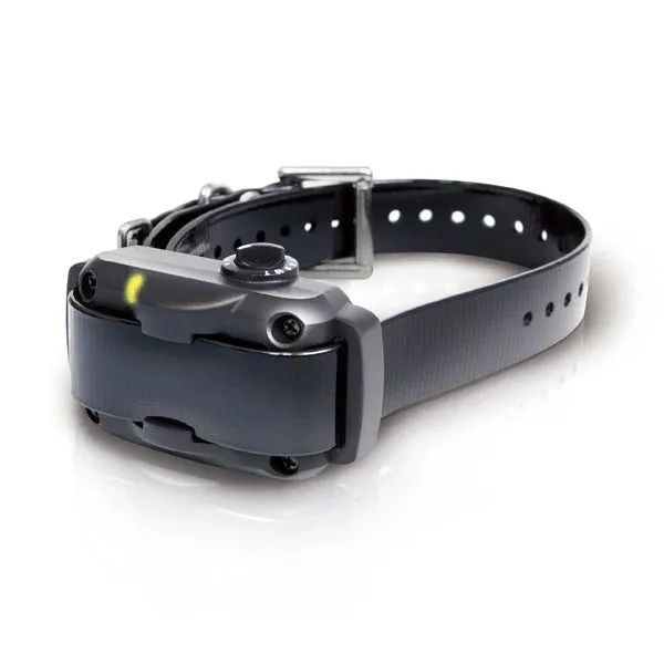 Dogtra YS600 Training Collar - Professional Line64993722980994123