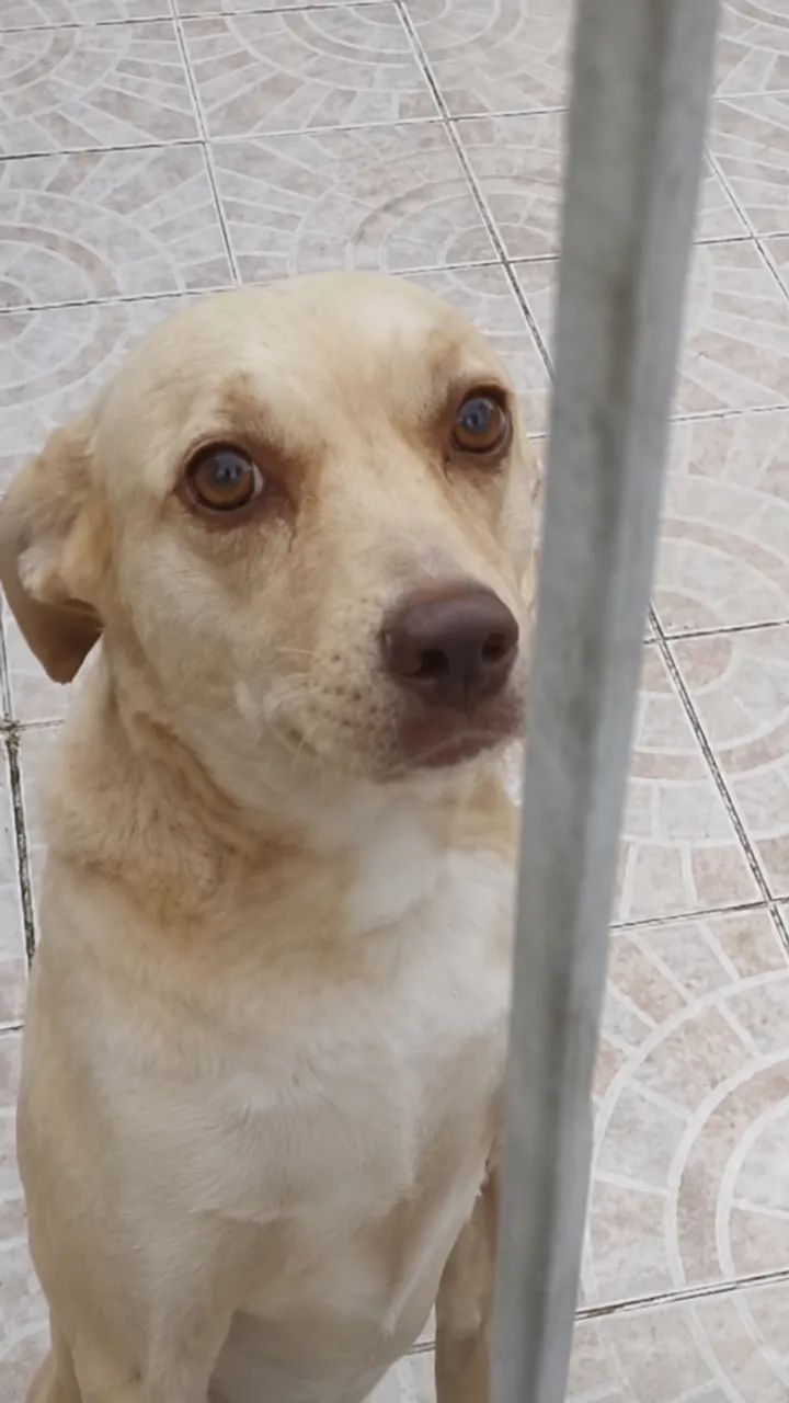 Luna Linda 