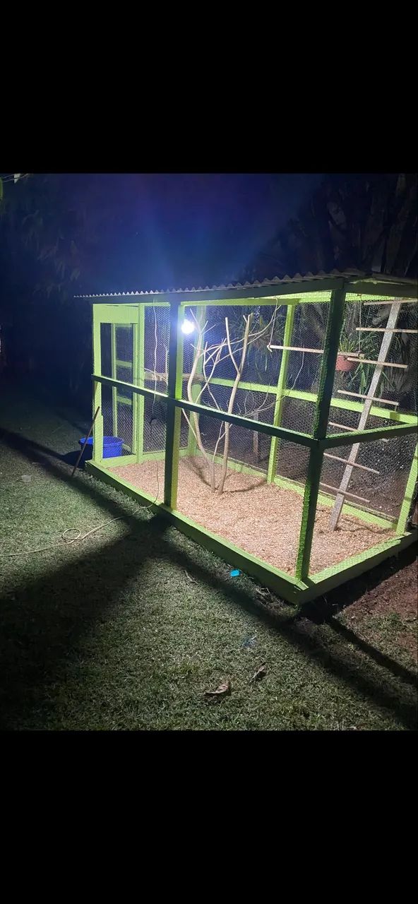 VIVEIRO PARA AVES EXÓTICAS - Foto 3
