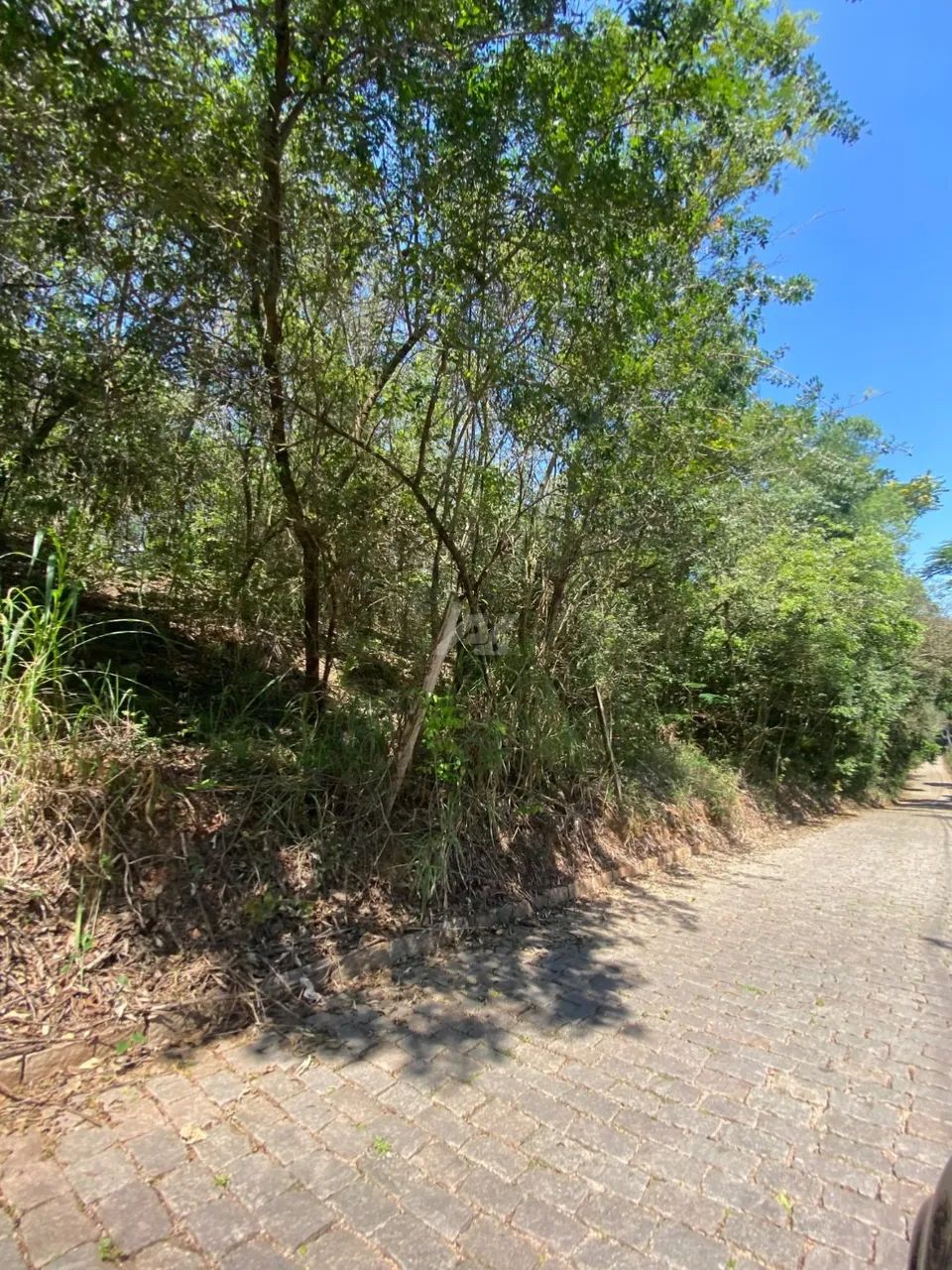 terreno - Sousas - Campinas - Foto 2