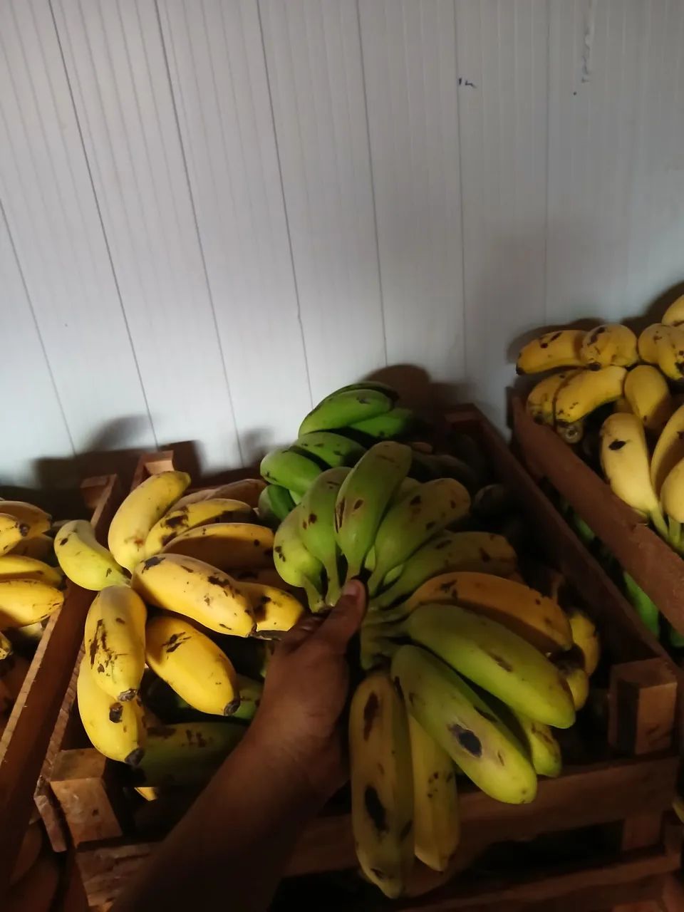Bananas ?  - Foto 3