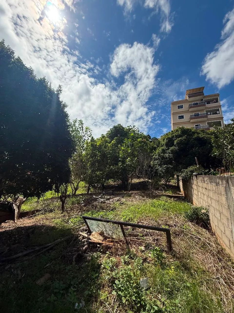 Lote com Casa na Grama - Afonso Cláudio  - Foto 2