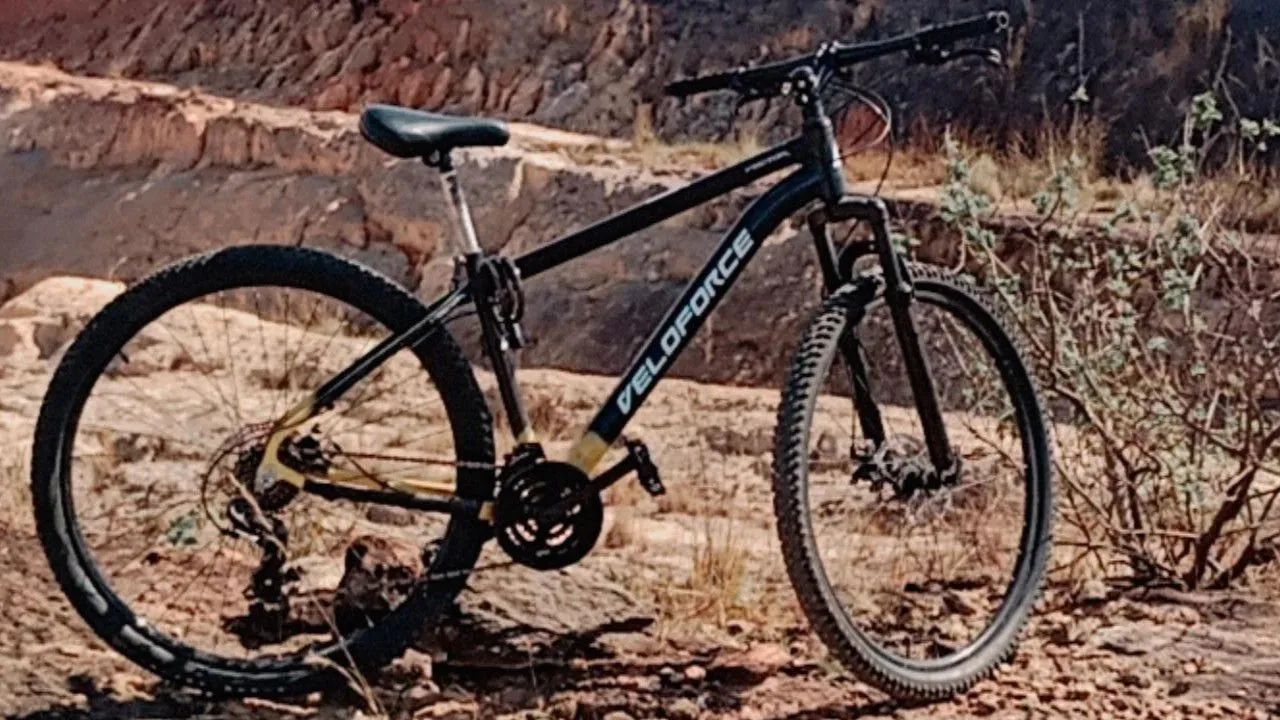 Bicicleta aro 29