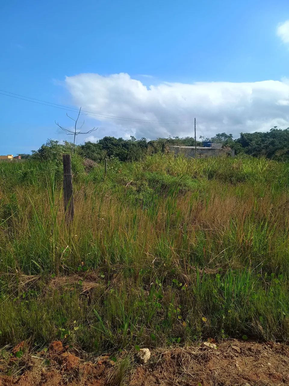 Vende-se terreno em Jaconé  - Foto 4