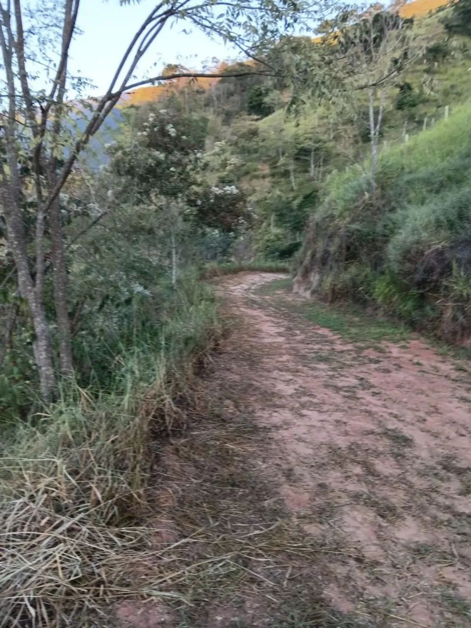 Terreno posse Petrópolis  - Foto 4