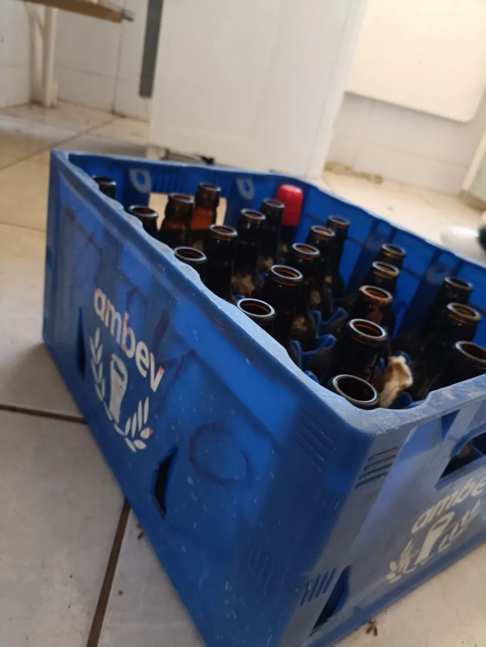 Caixa AmBev com 23 Garrafas mini Antártica - Foto 2