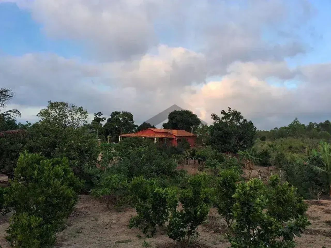 Chácara de 1 hectares e 200m, com casa principal, localizada em Sairé - Pernambuco. - Foto 2