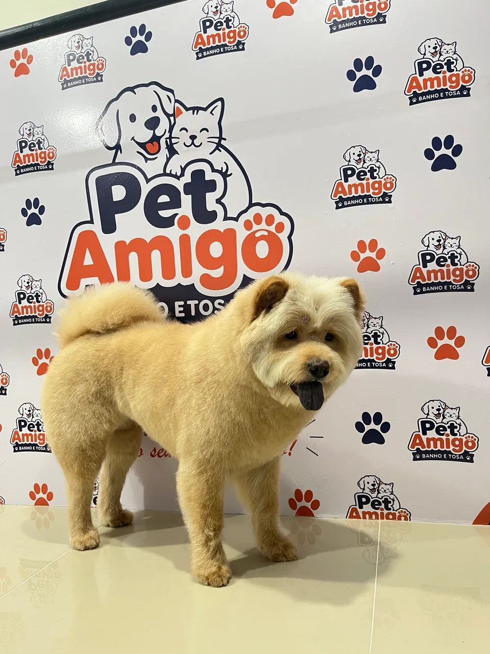 Pet shop 