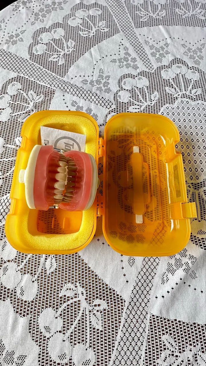 Manequim de Dentística Pronew  - Foto 3